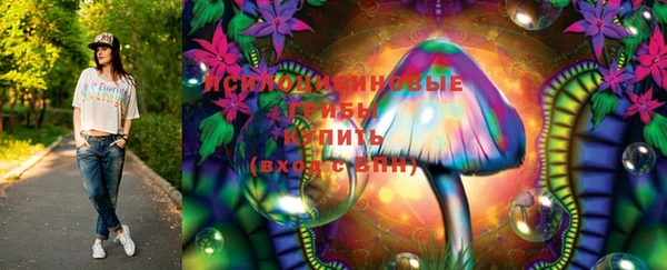метамфетамин Богданович