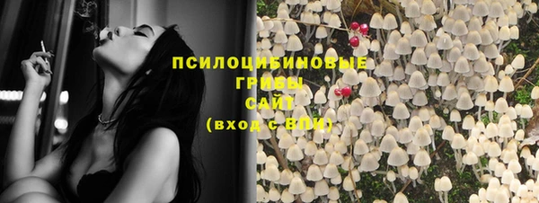 метамфетамин Богданович