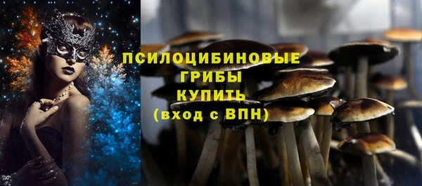 ешки Бородино