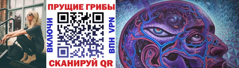 Галлюциногенные грибы Psilocybine cubensis где найти наркотики МЕГА маркетплейс Кочубеевское