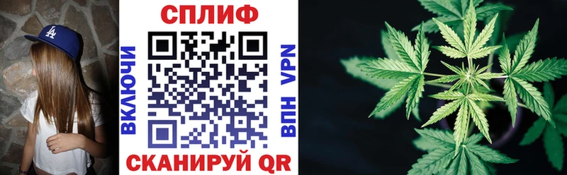 Бошки Шишки тримм Кочубеевское